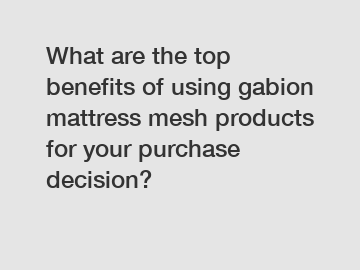 What are the top benefits of using gabion mattress mesh products for your purchase decision?