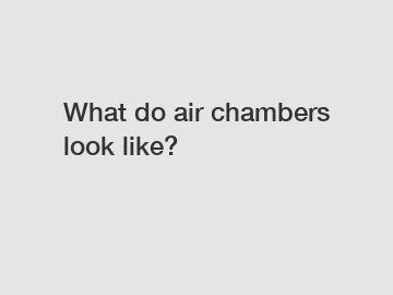 What do air chambers look like?