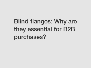 Blind flanges: Why are they essential for B2B purchases?