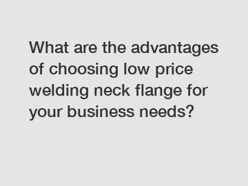 What are the advantages of choosing low price welding neck flange for your business needs?