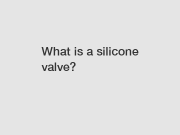 What is a silicone valve?