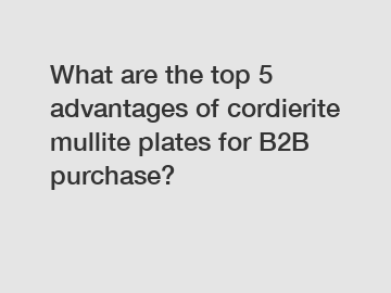 What are the top 5 advantages of cordierite mullite plates for B2B purchase? 