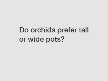 Do orchids prefer tall or wide pots?