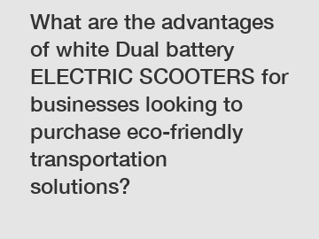 What are the advantages of white Dual battery ELECTRIC SCOOTERS for businesses looking to purchase eco-friendly transportation solutions?