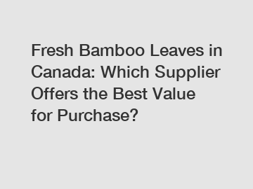 Fresh Bamboo Leaves in Canada: Which Supplier Offers the Best Value for Purchase?