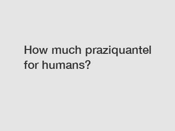 How much praziquantel for humans?