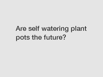 Are self watering plant pots the future?