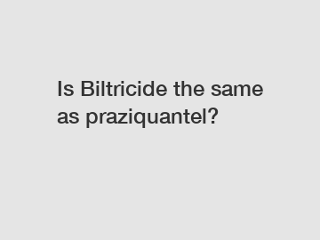 Is Biltricide the same as praziquantel?