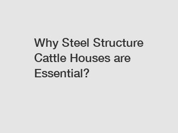 Why Steel Structure Cattle Houses are Essential?