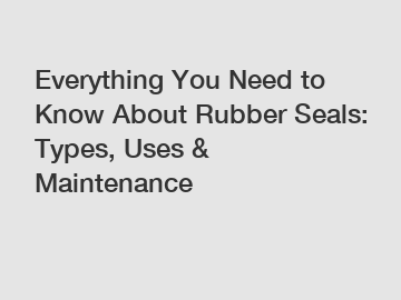 Everything You Need to Know About Rubber Seals: Types, Uses & Maintenance