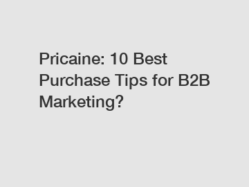 Pricaine: 10 Best Purchase Tips for B2B Marketing?