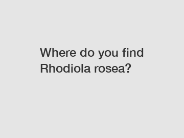 Where do you find Rhodiola rosea?