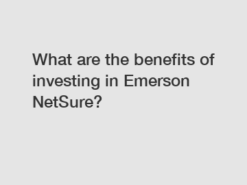 What are the benefits of investing in Emerson NetSure?