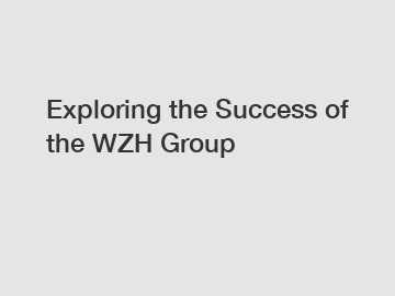 Exploring the Success of the WZH Group