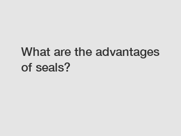 What are the advantages of seals?