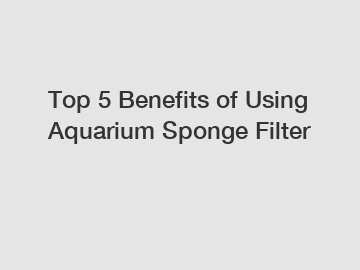 Top 5 Benefits of Using Aquarium Sponge Filter