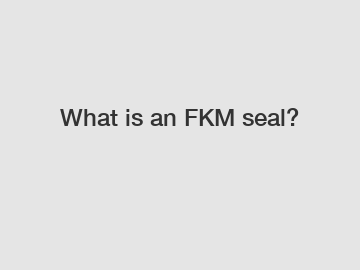 What is an FKM seal?