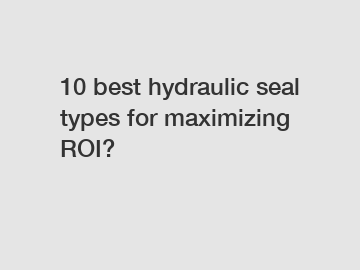 10 best hydraulic seal types for maximizing ROI?