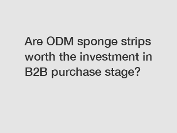 Are ODM sponge strips worth the investment in B2B purchase stage?