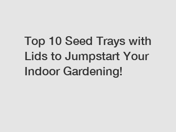 Top 10 Seed Trays with Lids to Jumpstart Your Indoor Gardening!