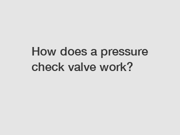 How does a pressure check valve work?