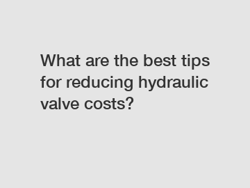 What are the best tips for reducing hydraulic valve costs?