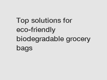 Top solutions for eco-friendly biodegradable grocery bags