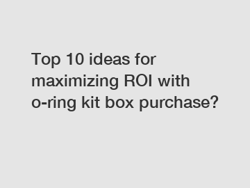 Top 10 ideas for maximizing ROI with o-ring kit box purchase?