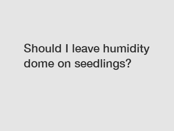 Should I leave humidity dome on seedlings?