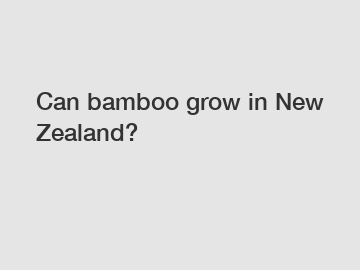 Can bamboo grow in New Zealand?
