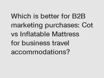 Which is better for B2B marketing purchases: Cot vs Inflatable Mattress for business travel accommodations?