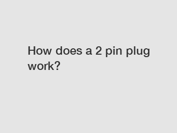 How does a 2 pin plug work?