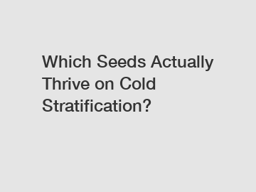 Which Seeds Actually Thrive on Cold Stratification?