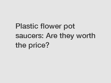 Plastic flower pot saucers: Are they worth the price?