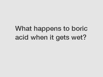 What happens to boric acid when it gets wet?