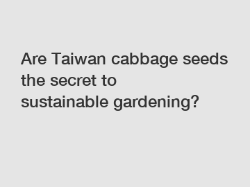Are Taiwan cabbage seeds the secret to sustainable gardening?