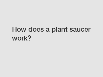 How does a plant saucer work?