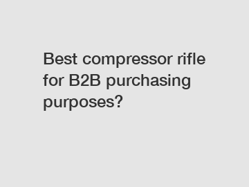 Best compressor rifle for B2B purchasing purposes?