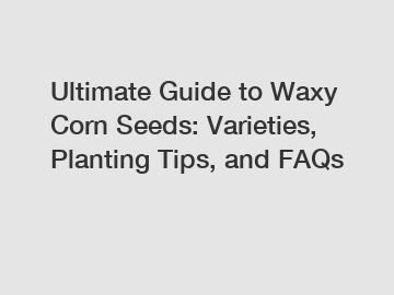 Ultimate Guide to Waxy Corn Seeds: Varieties, Planting Tips, and FAQs