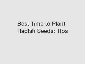 Best Time to Plant Radish Seeds: Tips