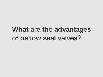What are the advantages of bellow seal valves?