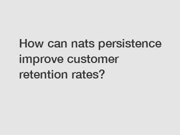 How can nats persistence improve customer retention rates?