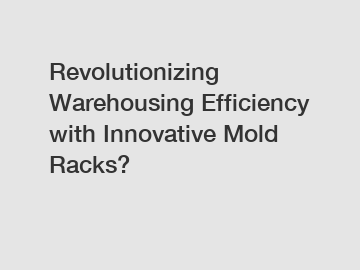 Revolutionizing Warehousing Efficiency with Innovative Mold Racks?