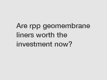 Are rpp geomembrane liners worth the investment now?