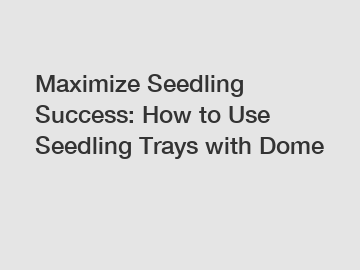 Maximize Seedling Success: How to Use Seedling Trays with Dome