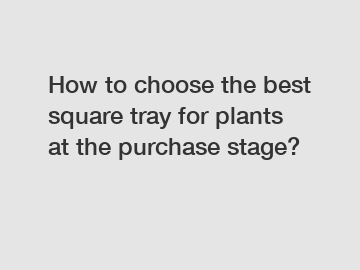 How to choose the best square tray for plants at the purchase stage?