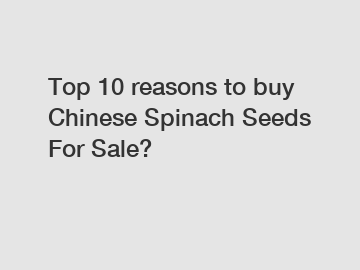 Top 10 reasons to buy Chinese Spinach Seeds For Sale?