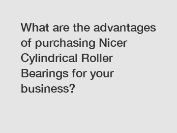 What are the advantages of purchasing Nicer Cylindrical Roller Bearings for your business?