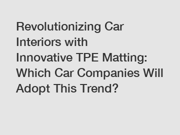 Revolutionizing Car Interiors with Innovative TPE Matting: Which Car Companies Will Adopt This Trend?