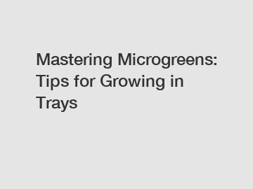 Mastering Microgreens: Tips for Growing in Trays